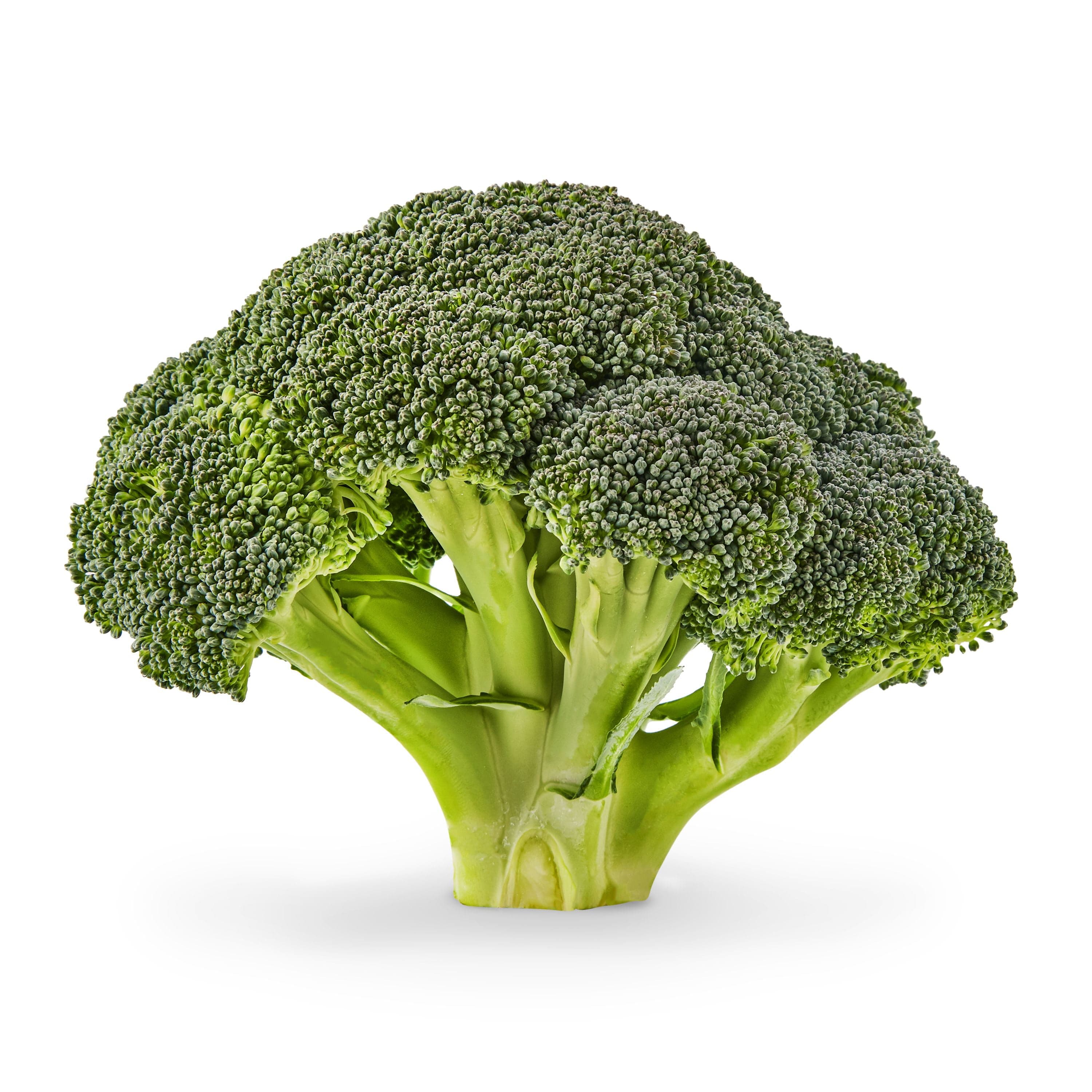 Fresh Produce Fresh Whole Green Broccoli Crowns, 1 Each — ITEM_ID 51259378
