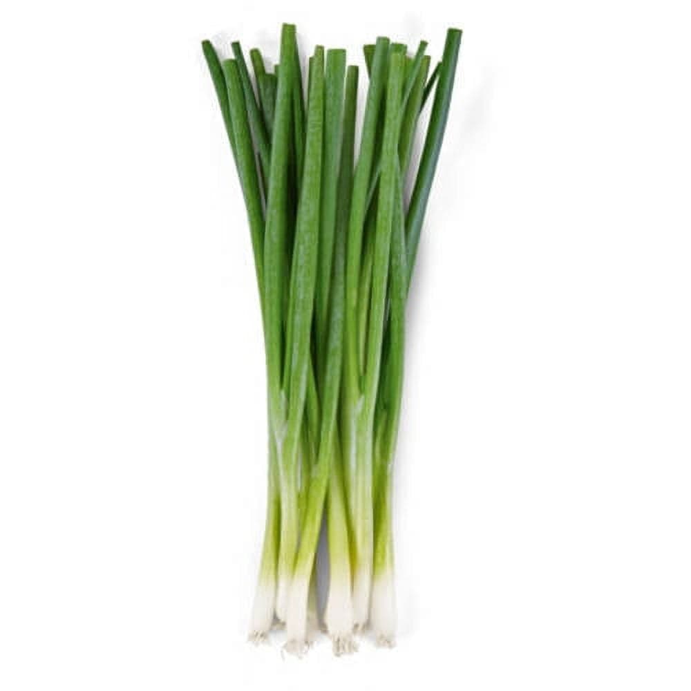 Fresh Produce Fresh Green Onions Bunch, Each — ITEM_ID 51259361
