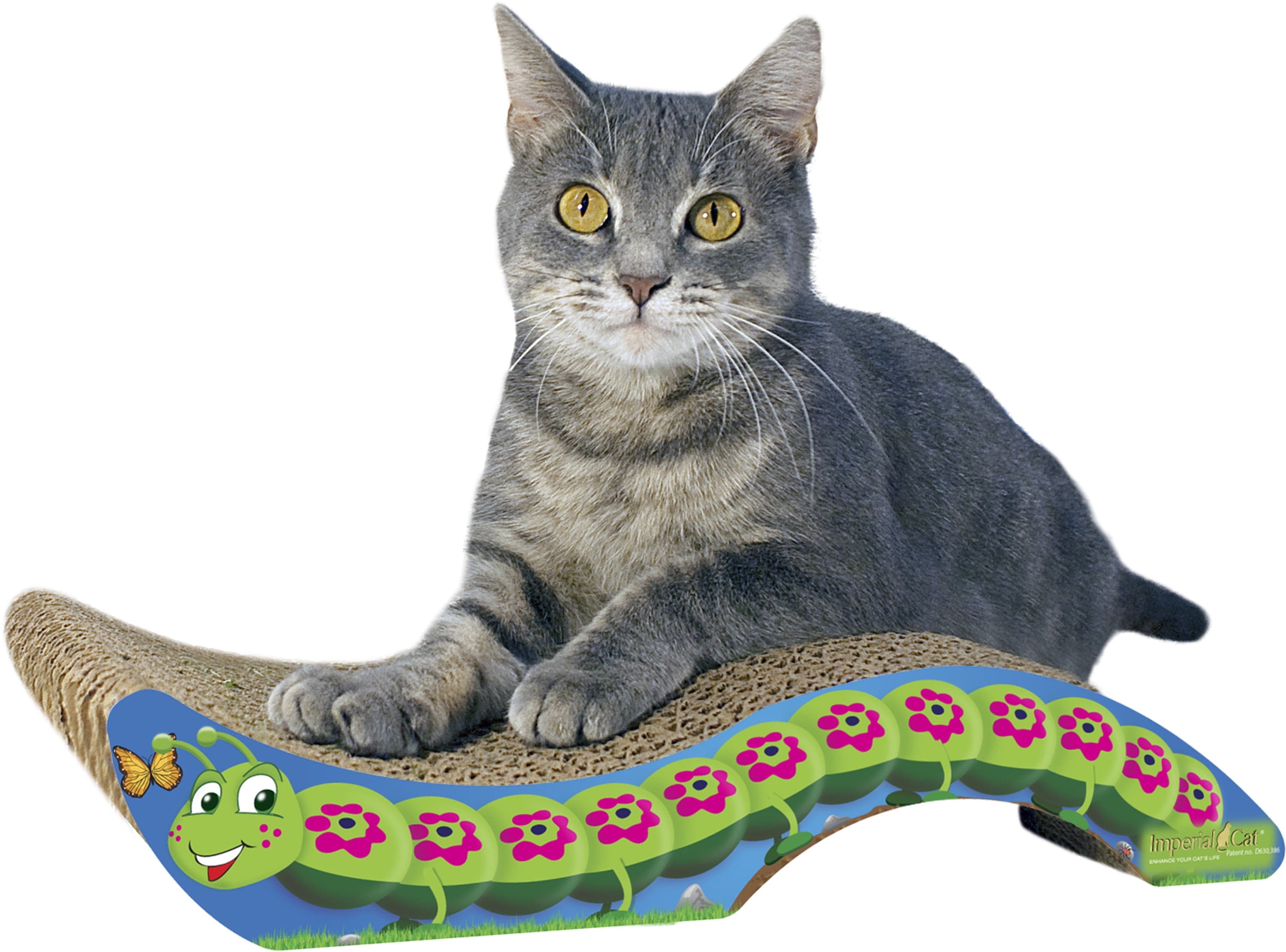 Imperial Cat Imperial Cat Scratch 'n Shapes Caterpillar — ITEM_ID 19364964